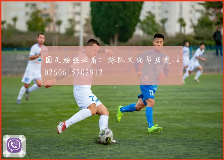 国足粉丝必看：球队文化与历史_20260615202912