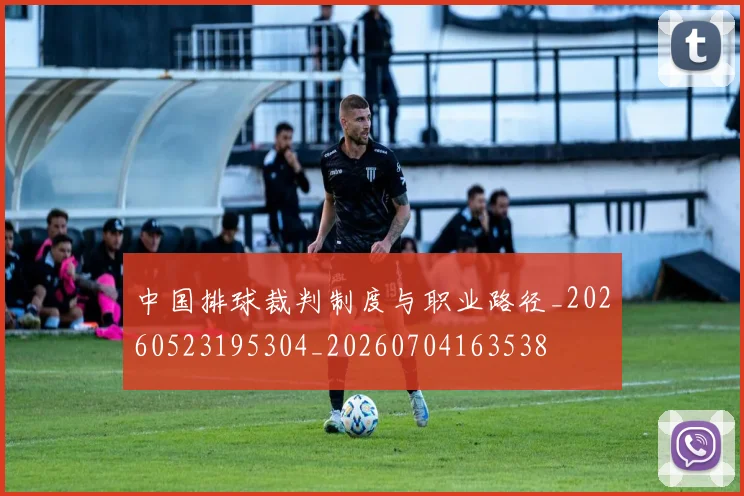 中国排球裁判制度与职业路径_20260523195304_20260704163538
