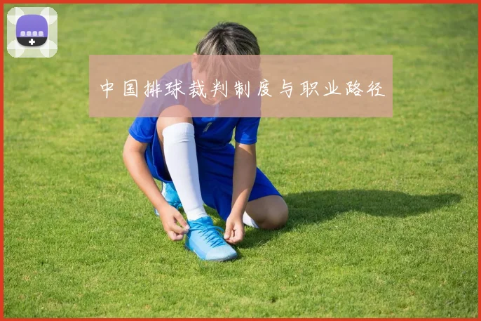 中国排球裁判制度与职业路径