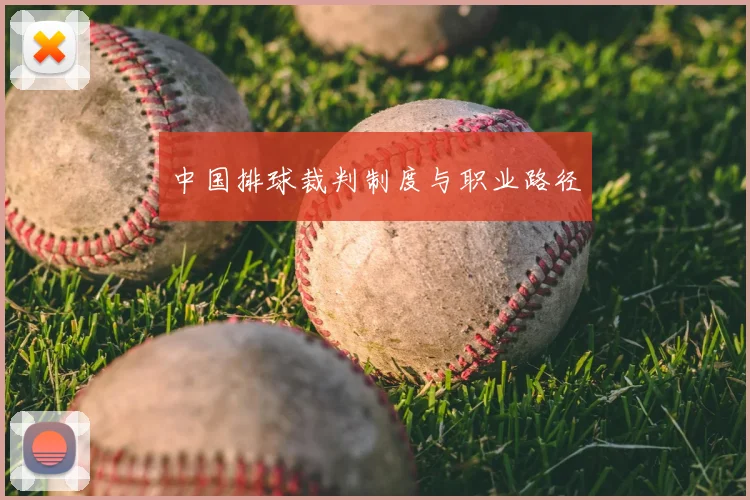 中国排球裁判制度与职业路径